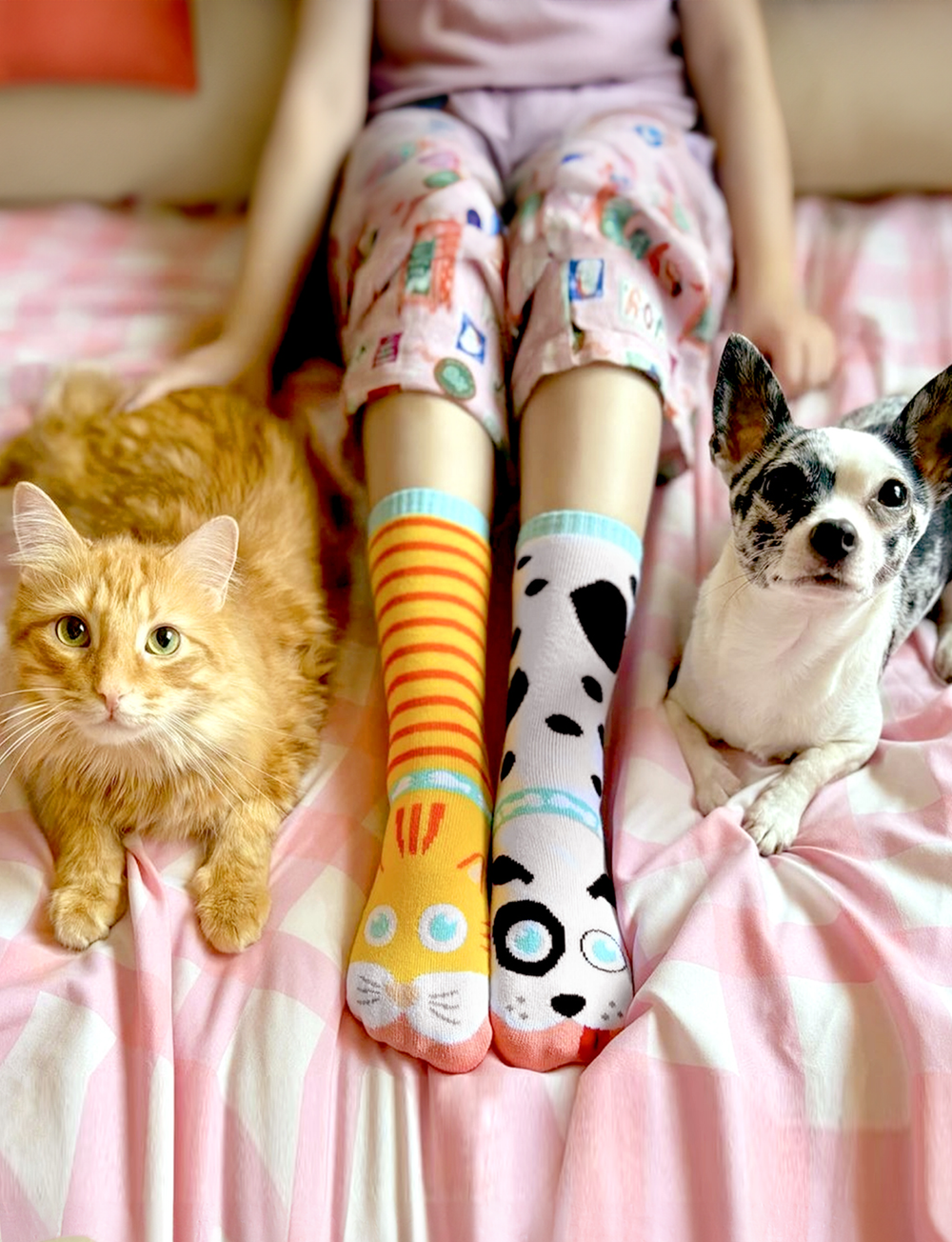 ADULT CAT & DOG SOCKS