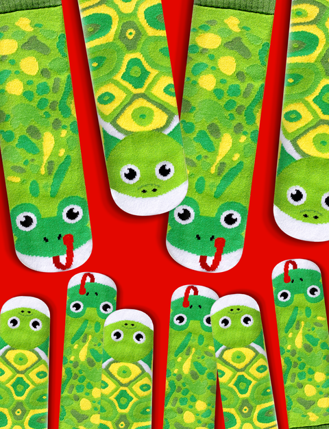 Frog & Turtle Matching (Mismatching) Family Socks Set