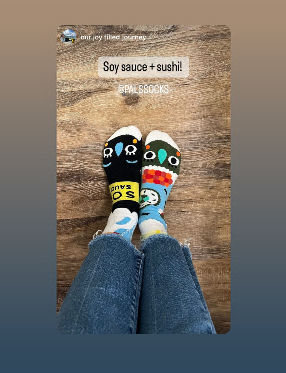 (ALMOST GONE!) ADULT SUSHI & SOY SAUCE SOCKS